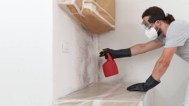 Professional Mold Removal technician working in Clayton, NC