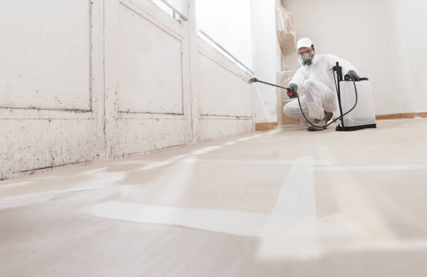 24/7 Emergency Mold Removal experts in Clayton, NC