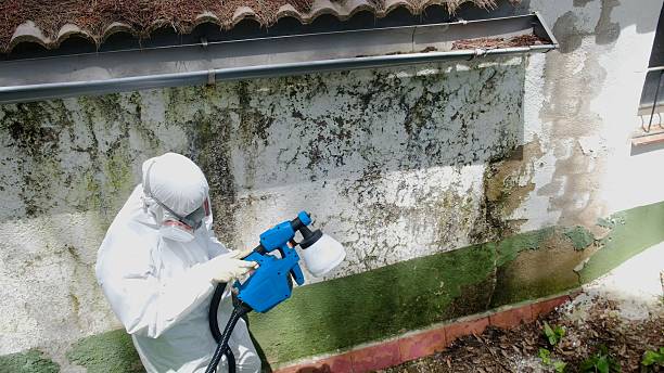 Top rated local Mold Removal specialists in Clayton, NC